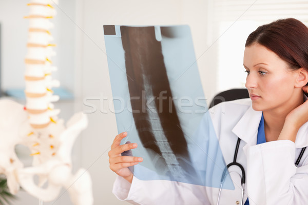 Femminile medico guardando Xray mano salute Foto d'archivio © wavebreak_media