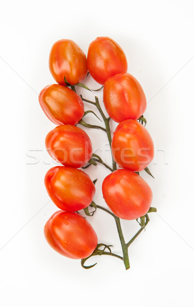 つる トマト 白 食品 葉 赤 ストックフォト © wavebreak_media