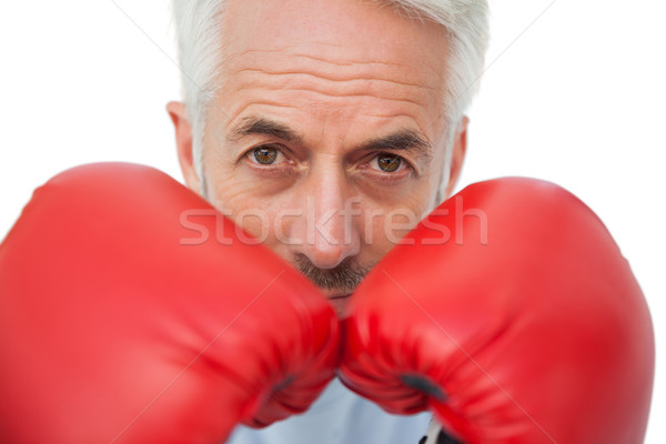 Portret vastbesloten senior bokser witte Stockfoto © wavebreak_media