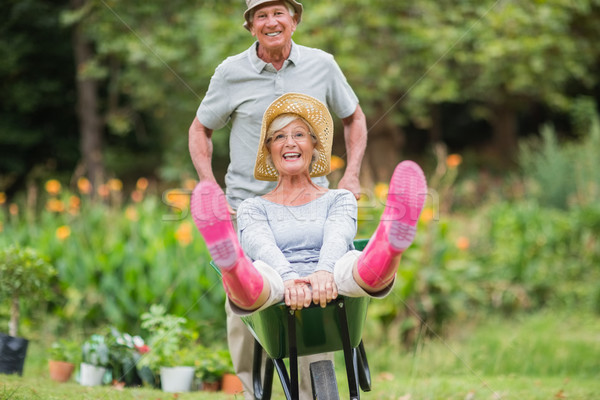 Heureux couple de personnes âgées jouer brouette femme [[stock_photo]] © wavebreak_media