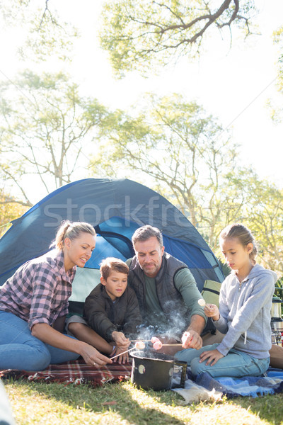 Family roasting marshmallows outside the tent Stock photo © wavebreak_media