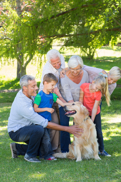 Happy family petting their dog Stock photo © wavebreak_media