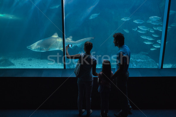 Glückliche Familie schauen Fisch Tank Aquarium Liebe Stock foto © wavebreak_media