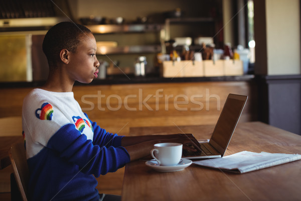 Attentif femme utilisant un ordinateur portable café restaurant ordinateur [[stock_photo]] © wavebreak_media