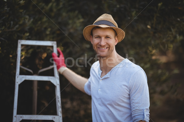 Stock foto: Lächelnd · junger · Mann · Leiter · stehen · Olivenöl · Bauernhof