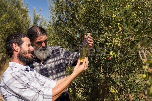 Friends examining olive oil in farm Stock photo © wavebreak_media