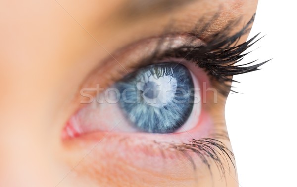 Close up of female blue eye Stock photo © wavebreak_media