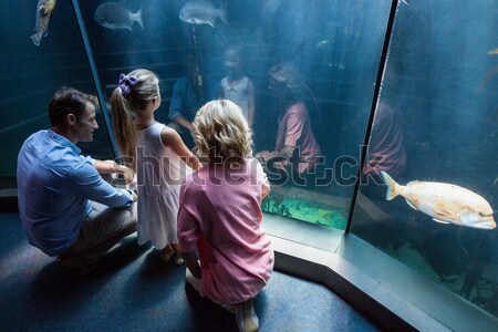 Little boy looking at fish tank Stock photo © wavebreak_media