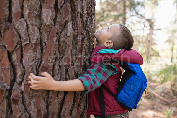 Side view of boy embracing tree Stock photo © wavebreak_media