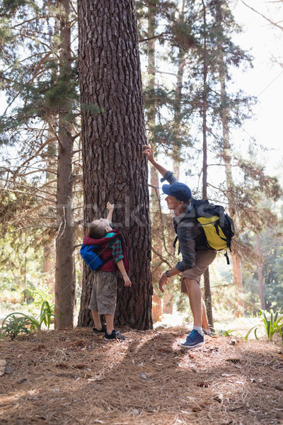 Man wijzend omhoog jongen permanente bos Stockfoto © wavebreak_media