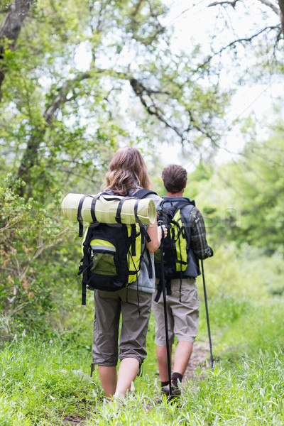 Vue arrière couple randonnée domaine forêt [[stock_photo]] © wavebreak_media