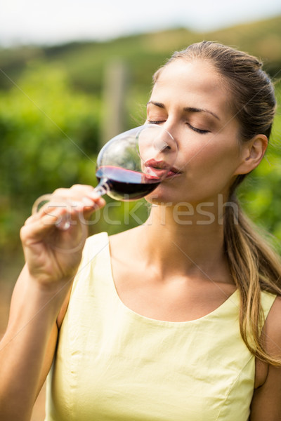 Kadın şarap bağ kadın doğa eğlence Stok fotoğraf © wavebreak_media