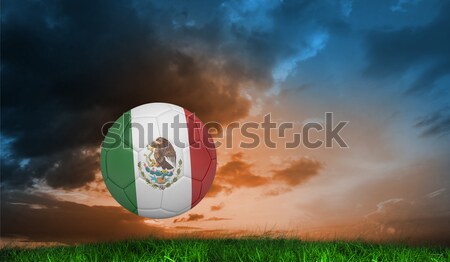 ストックフォト: サッカー · メキシコ · 色 · 草 · サッカー · フィールド