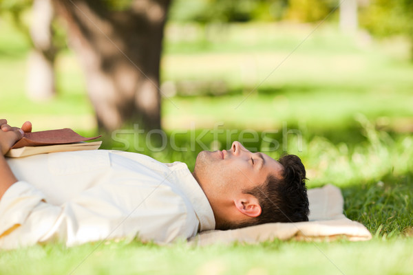 Man lying in the park with his book Stock photo © wavebreak_media