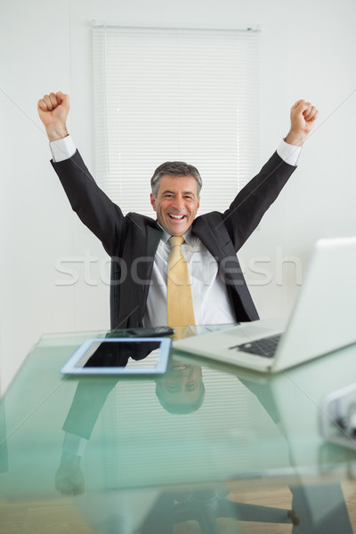 Geschäftsmann genießen Erfolg Jubel Büro Computer Stock foto © wavebreak_media