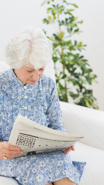 Zdjęcia stock: Starszych · wesoły · kobieta · czytania · gazety · sofa
