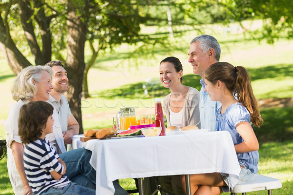 Familia extinsă mese în aer liber tabel vedere laterala femeie Imagine de stoc © wavebreak_media