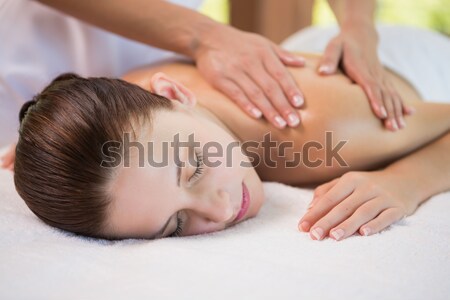 Foto stock: Mulher · atraente · ombro · massagem · estância · termal · centro