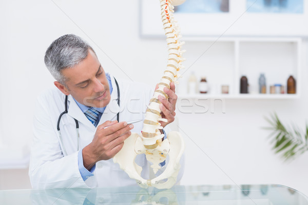 Orvos anatómiai gerincoszlop klinika férfi törődés Stock fotó © wavebreak_media