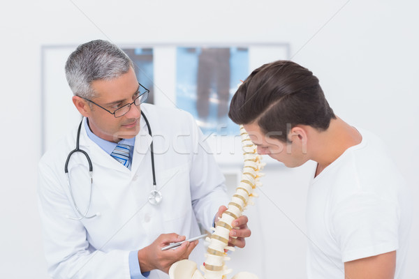 Arzt anatomischen Wirbelsäule Patienten Büro Stock foto © wavebreak_media