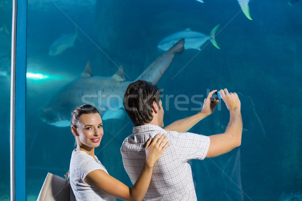 Para Fotografia rekina akwarium człowiek Zdjęcia stock © wavebreak_media