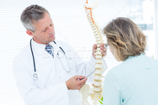 Medic îndreptat anatomic sira spinarii medical birou Imagine de stoc © wavebreak_media