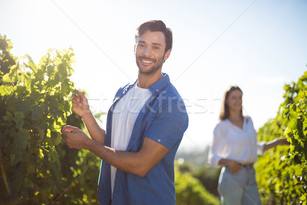 Foto d'archivio: Felice · Coppia · piedi · impianti · crescita · vigneto