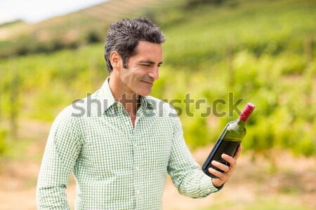 vintner using digital tablet in vineyard Stock photo © wavebreak_media