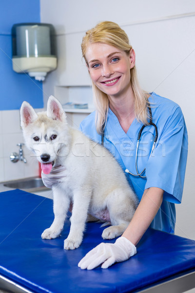 A woman vet posing and smiling with a dog Stock photo © wavebreak_media