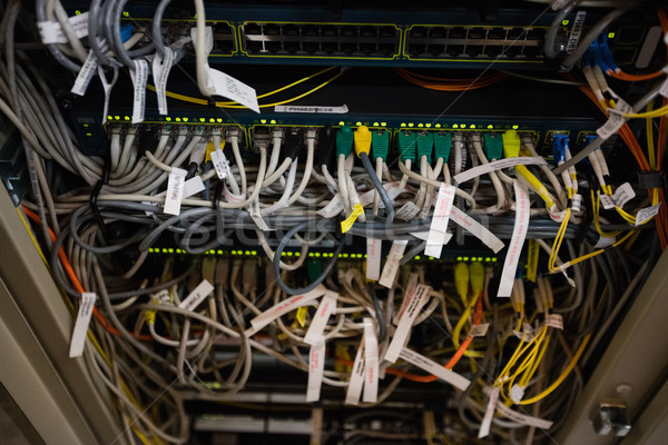 Close-up of rack mounted server Stock photo © wavebreak_media