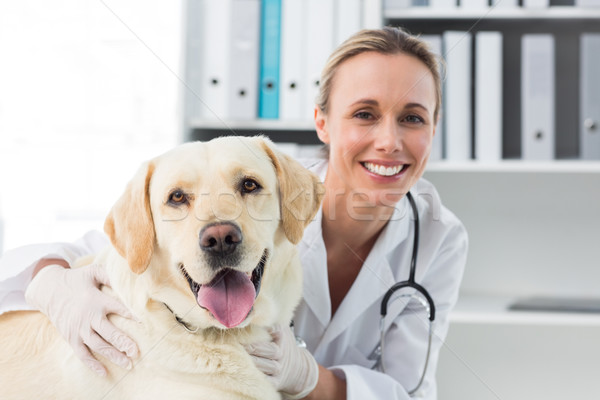 [[stock_photo]]: Homme · vétérinaire · chien · portrait · clinique · femme