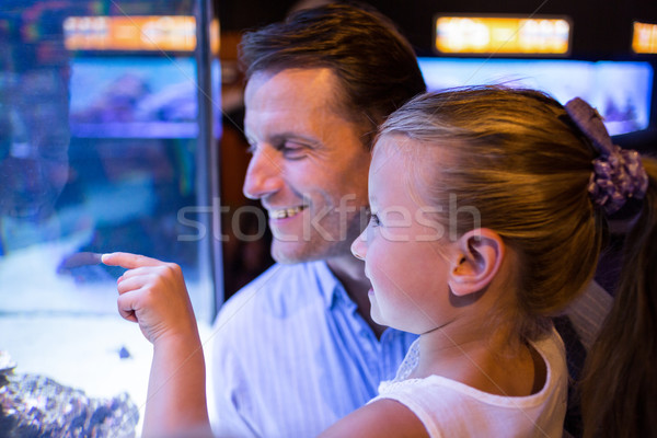 Daughter lookingand father looking at fish in tank  Stock photo © wavebreak_media