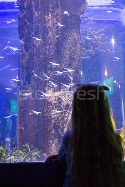Giovane ragazza guardando pesce serbatoio dietro fotocamera Foto d'archivio © wavebreak_media