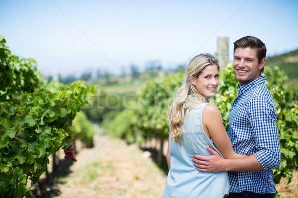 Foto stock: Retrato · casal · vinha · sorrir