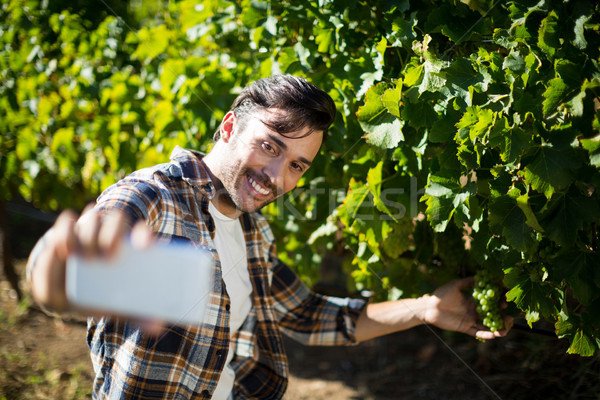 Happy man taking selfie with grapes growing on plants Stock photo © wavebreak_media