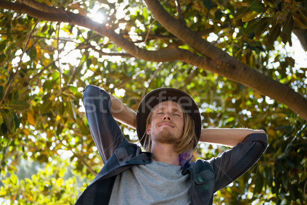 Man relaxing with hands behind head in the park Stock photo © wavebreak_media