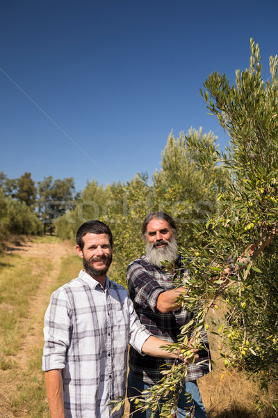 Portrait of happy friends examining olive on plant Stock photo © wavebreak_media