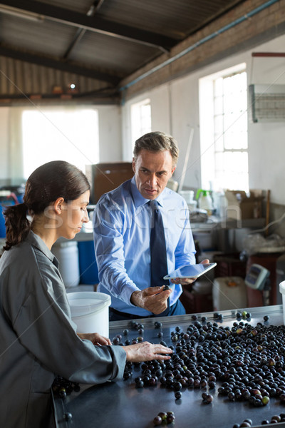 Stock photo: Manager instructing worker while checking a harvested olives