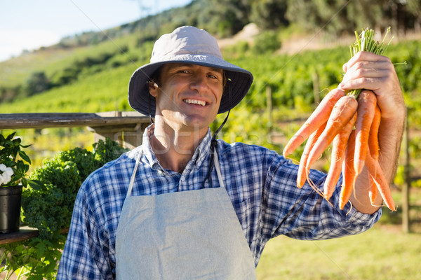 Foto stock: Agricultor · zanahorias · campo · negocios