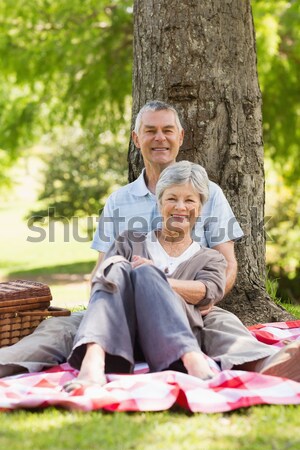 Happy couple relaxing in cottage Stock photo © wavebreak_media