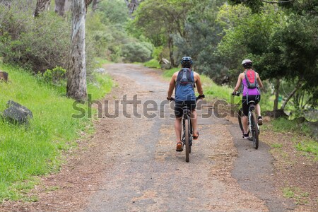 Biker couple cycling in countryside Stock photo © wavebreak_media