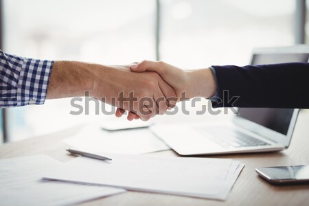 Vue de côté serrer la main blanche affaires main homme Photo stock © wavebreak_media