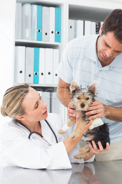 Propietario cachorro femenino veterinario masculina clínica Foto stock © wavebreak_media