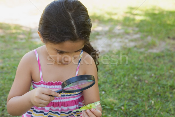 Stockfoto: Meisje · onderzoeken · blad · vergrootglas · park · jong · meisje