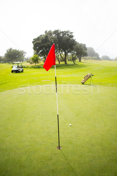 Golfbaan golf groene vakantie gat Stockfoto © wavebreak_media
