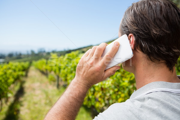 Vintner talking on mobile phone in vineyard Stock photo © wavebreak_media