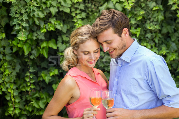 Romantic couple toasting wineglasses at front yard Stock photo © wavebreak_media