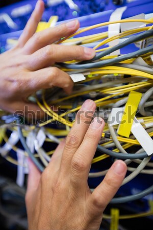Stock fotó: Technikus · kábelek · fogas · szerver · közelkép · nő