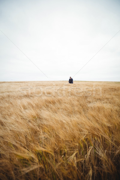 Landwirt Nutzpflanzen Bereich Hund Mann Natur Stock foto © wavebreak_media