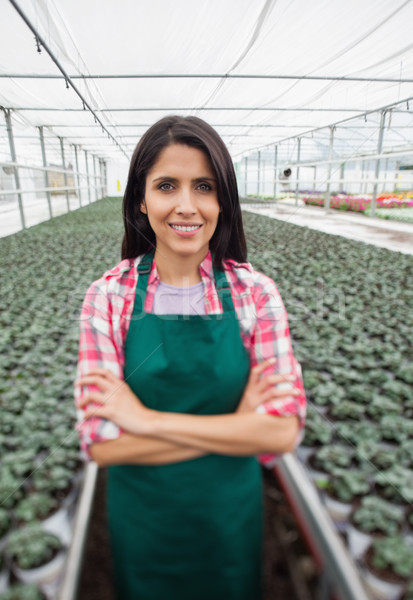 Greenhouse worker standing with arms crossed and smiling in greenhouse nursery Stock photo © wavebreak_media